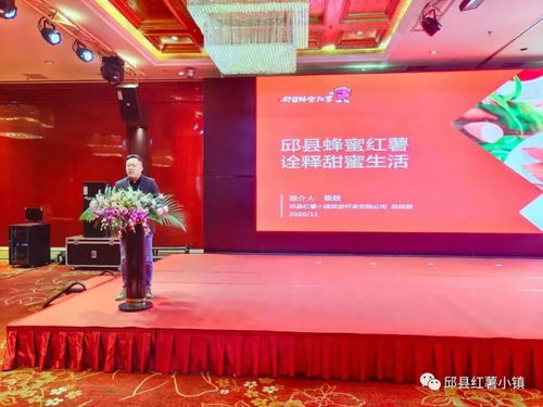 邱縣紅薯小鎮閃耀第十八屆中國國際農產品交易會，品牌農業再譜新篇